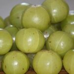 Amla Health Benefits: बालों से लेकर त्वचा तक, जानिए आंवला के चमत्कारी फायदे