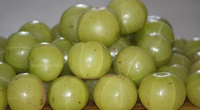 Amla Health Benefits: बालों से लेकर त्वचा तक, जानिए आंवला के चमत्कारी फायदे