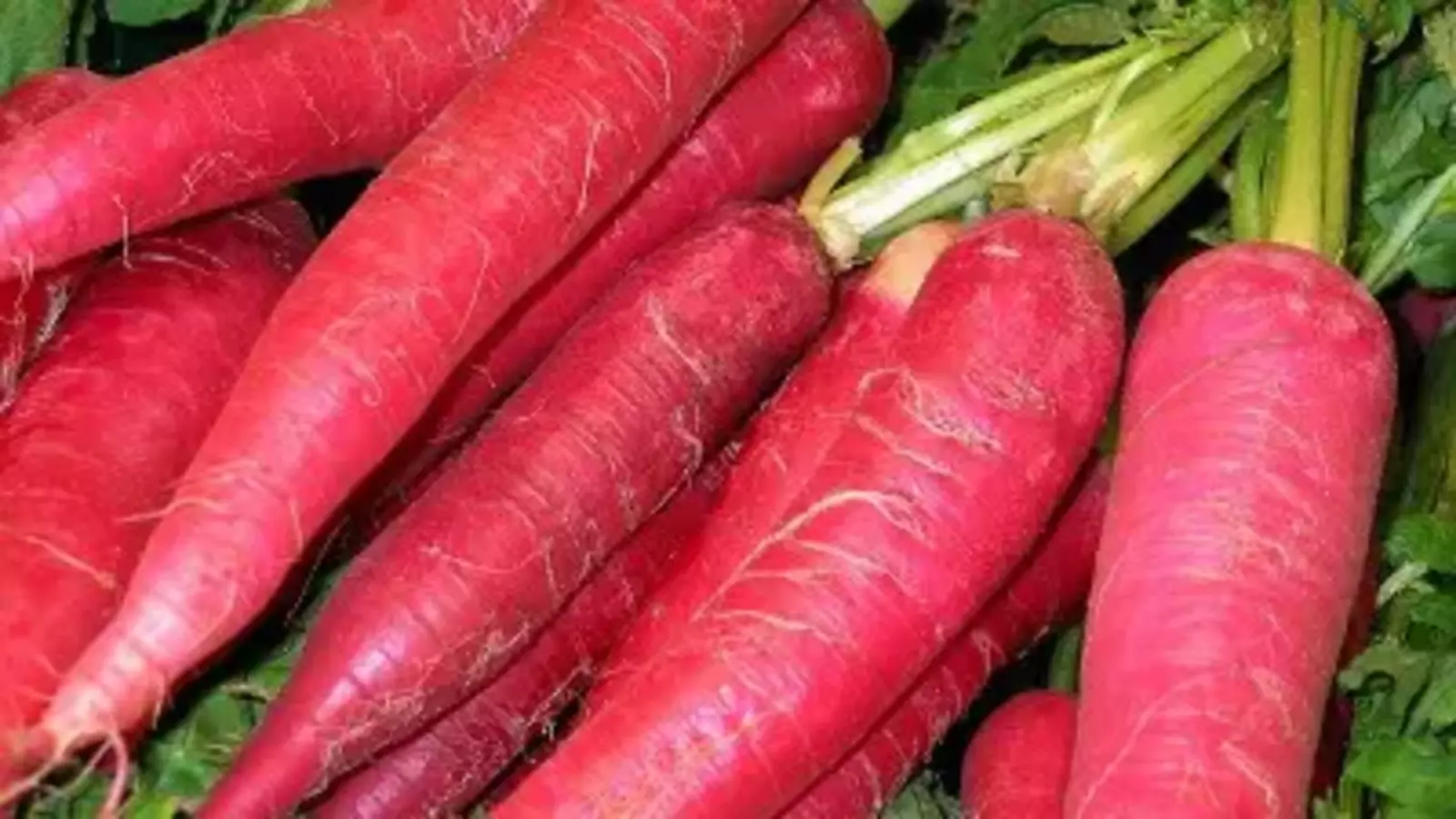 Radish Health Benefits: मूली खाने के फायदे और नुकसान यहां जानिए