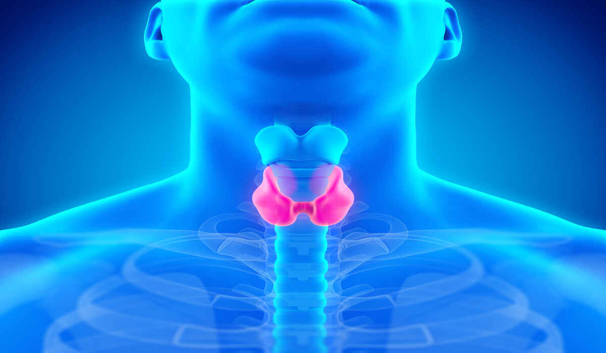 Hypothyroidism: Symptoms, Causes, Types & Best Diet for Thyroid Disorder (Image Credit: Wiki Common)